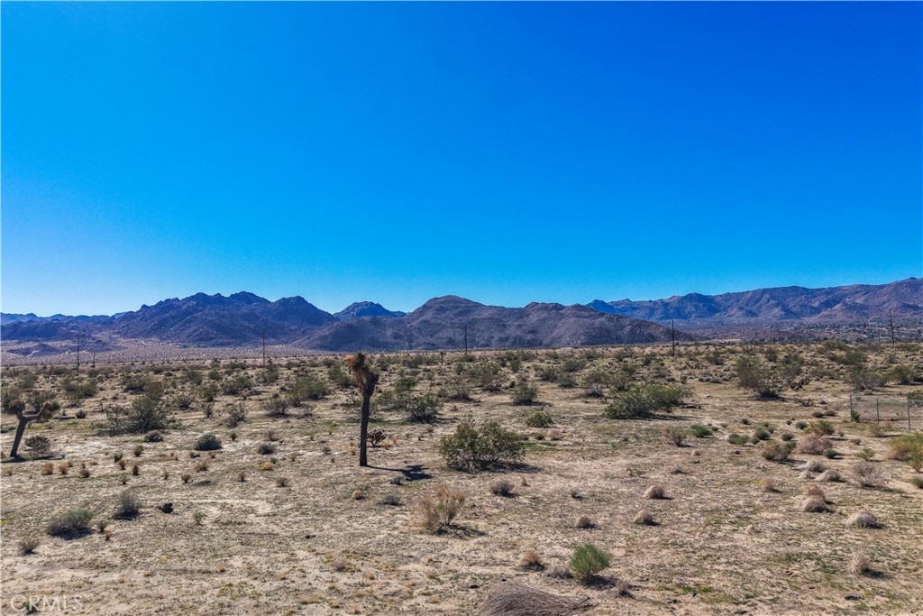 MLS #JT25246808 image #9