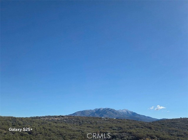 Front Image Thumbnail for CRLG25266333