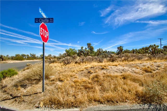 Detail Gallery Image 8 of 21 For 25 Lot 25 Joshua Dr, Yucca Valley,  CA 92284 - – Beds | – Baths