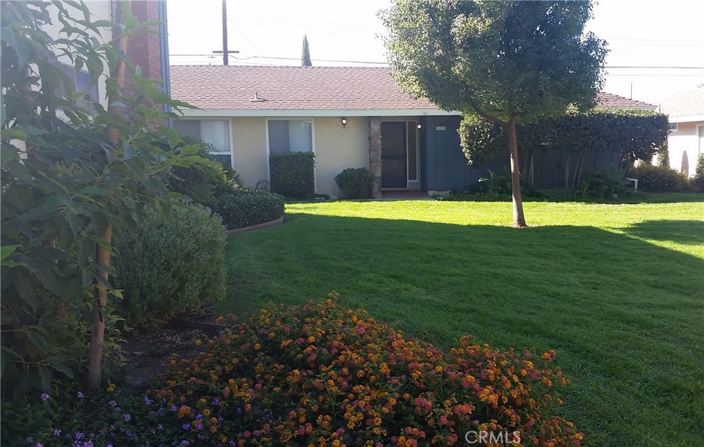 2652 College Lane
