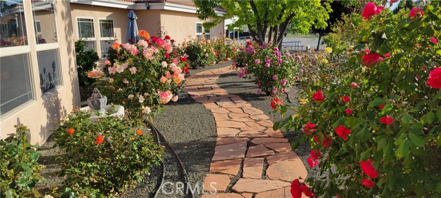 Detail Gallery Image 72 of 74 For 6172 Hawk Ridge Place, Paso Robles,  CA 93446 - 4 Beds | 3/1 Baths