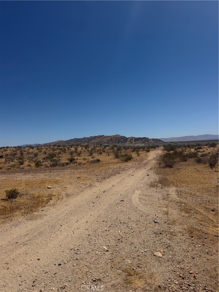 MLS #HD26168976 image #6