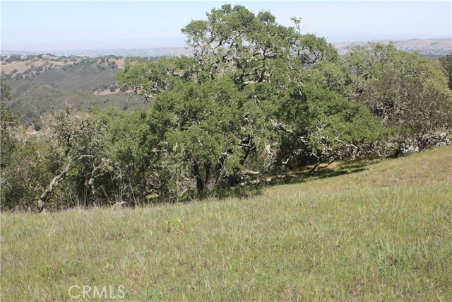 12000 San Marcos Road, Atascadero, California 93422, ,Land,For Sale,12000 San Marcos Road,CRNS22062172