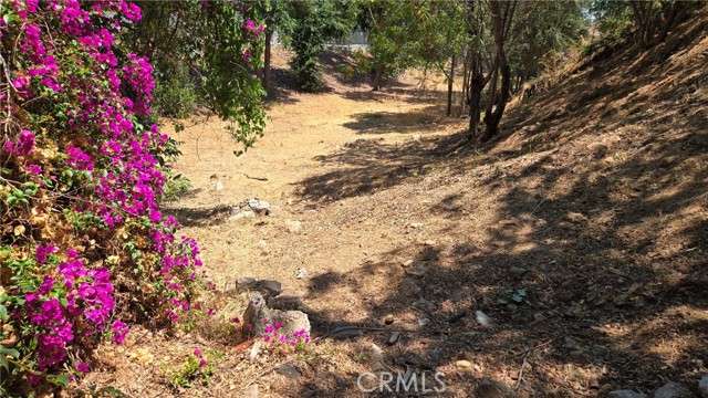 Front Image Thumbnail for CRGD25268544