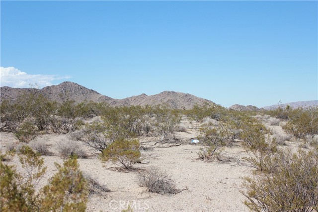 769 Meridian Road, Lucerne Valley CA: https://media.crmls.org/medias/699086e8-286f-4704-9de1-c5d84ae55b51.jpg