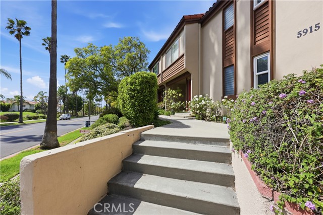 Front Image Thumbnail for CRDW26066127