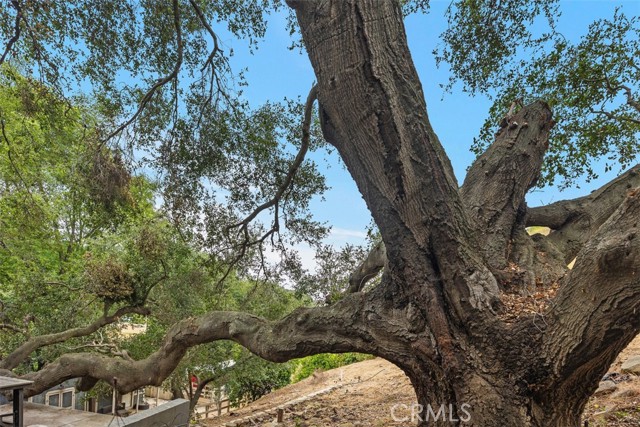 Image 47 of 48 For 28271 Modjeska Canyon Road