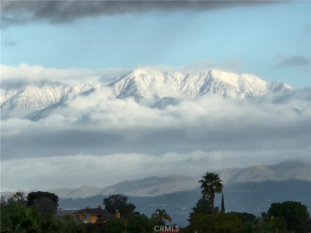 MLS #OC25274602 image #65