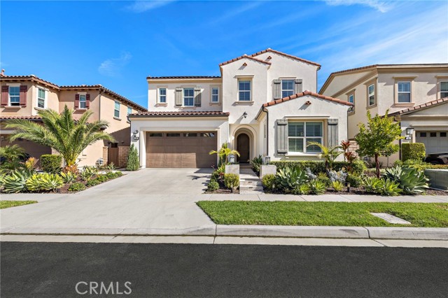 Image 1 of 59 For 12 Belladonna