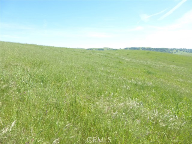 Detail Gallery Image 11 of 42 For 0 Douglas Rd. (Lot 42), San Miguel,  CA 93451 - – Beds | – Baths