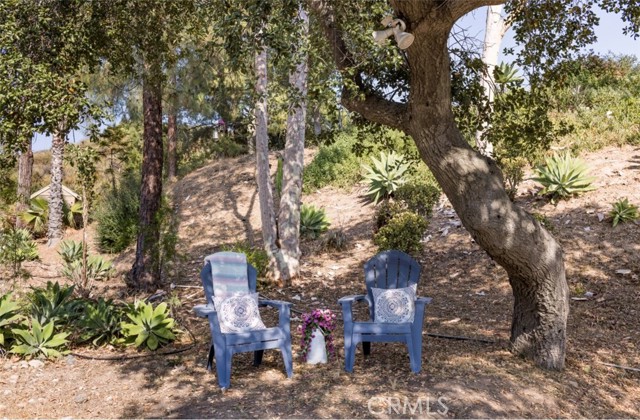 19332 Oakie Doakie, Trabuco Canyon CA: https://media.crmls.org/medias/69aa7b15-4163-491b-b63f-3e632e585408.jpg