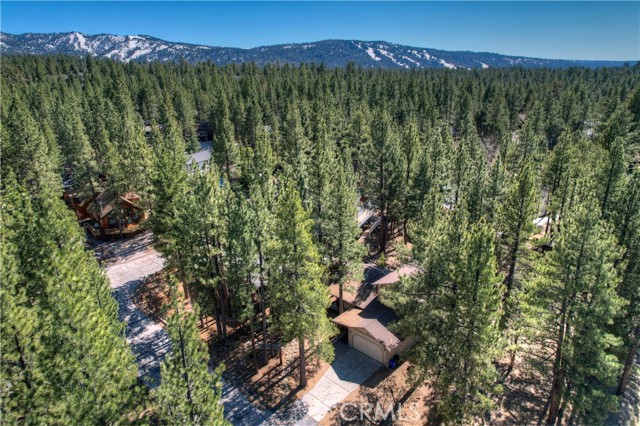 Detail Gallery Image 9 of 45 For 423 Pine View Dr, Big Bear City,  CA 92314 - 3 Beds | 2 Baths