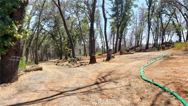 476 Green Oaks Drive, Paradise, California 95969, ,Land,For Sale,476 Green Oaks Drive,CRSN24010118