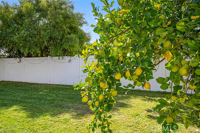 Detail Gallery Image 30 of 31 For 24551 Calle Magdalena, Murrieta,  CA 92562 - 4 Beds | 2/1 Baths