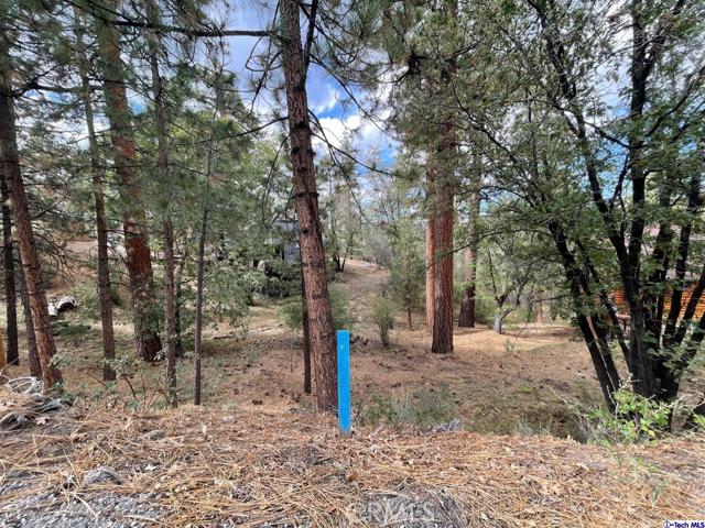 600 Travertine Road, Big Bear City, California 92314, ,Land,For Sale,600 Travertine Road,CRGD24038004