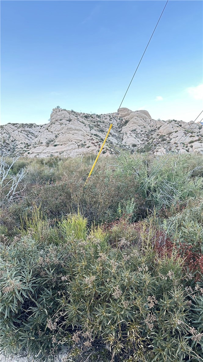MLS #SW25101394 image #5
