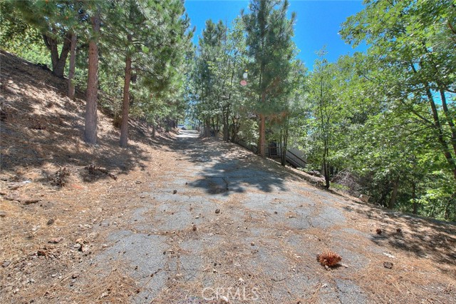 0 St Anton Drive, Lake Arrowhead, California 92352, ,Land,For Sale,0 St Anton Drive,CRCV23153140