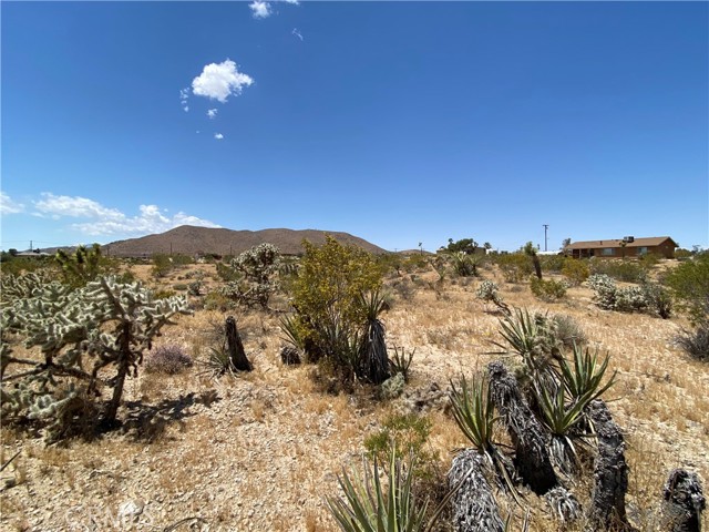 Detail Gallery Image 1 of 1 For 59136 Wilcox Ln, Yucca Valley,  CA 92284 - – Beds | – Baths