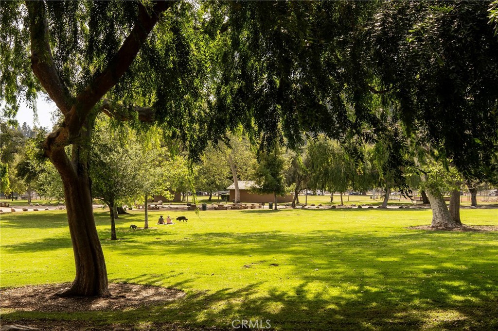 MLS #AR25219266 image #57