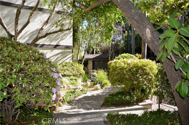 Corner of Unit 118 showing close location to the Main Entrance and Street. Mature Landscaping adds to the private and quiet feeling of the complex.