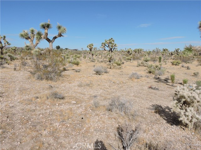 Detail Gallery Image 19 of 33 For 58223 Sunflower Dr, Yucca Valley,  CA 92284 - 0 Beds | –/1 Baths