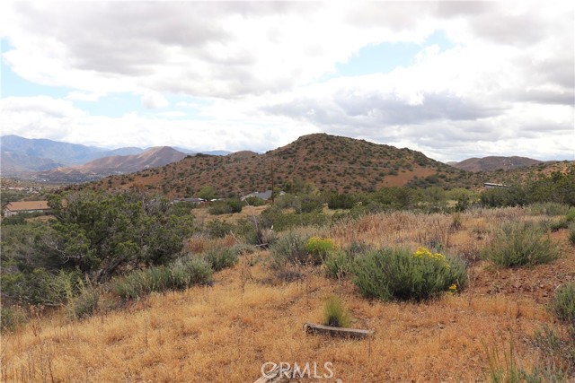 0 Vac/Cor Mountain Spring/Carrol, Acton, California 93510, ,Land,For Sale,0 Vac/Cor Mountain Spring/Carrol,CRSR23077660