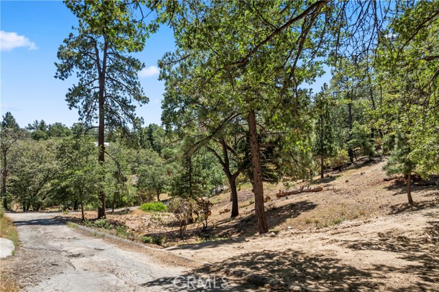 27115 Spring Lane, Lake Arrowhead CA: https://media.crmls.org/medias/69d7b722-f143-4e2b-8db6-e970d11a2f19.jpg