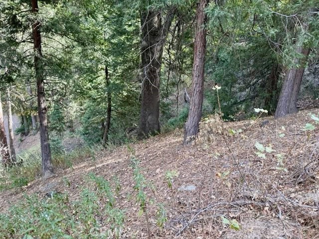 0 Burnt Mill Canyon Road, Cedarpines Park CA: https://media.crmls.org/medias/69d7f944-3dd9-4ad3-992c-d214f4b60a6f.jpg