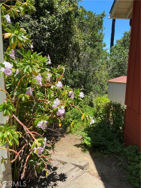 Detail Gallery Image 48 of 54 For 2598 Emerson Rd, Cambria,  CA 93428 - 2 Beds | 2 Baths