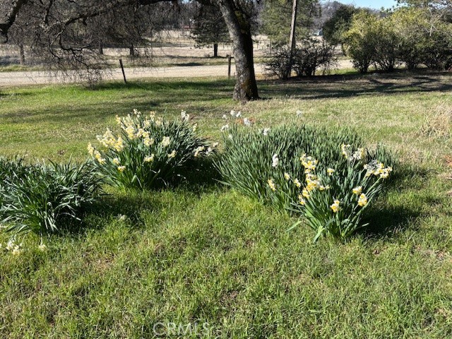 Detail Gallery Image 59 of 65 For 2556 Oregon Gulch Rd, Oroville,  CA 95965 - 2 Beds | 1/1 Baths