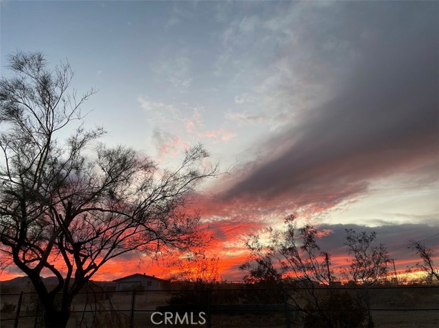 4675 Kickapoo Trail, Landers CA: https://media.crmls.org/medias/69dd360e-c3ab-400b-8e4c-052b9c8cbcc3.jpg