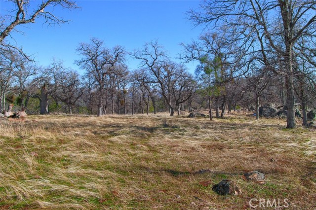 6894 State Highway 49, Mariposa, California 95338, ,Land,For Sale,6894 State Highway 49,CRFR23167837