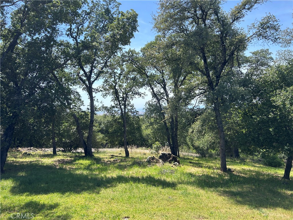 https://media.crmls.org/medias/69e0be05-34bc-4c87-9841-861537459e33.jpg?preset=X-Large