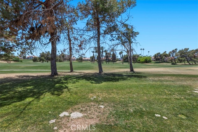 Detail Gallery Image 33 of 38 For 491 Desert Falls Dr, Palm Desert,  CA 92211 - 2 Beds | 2 Baths