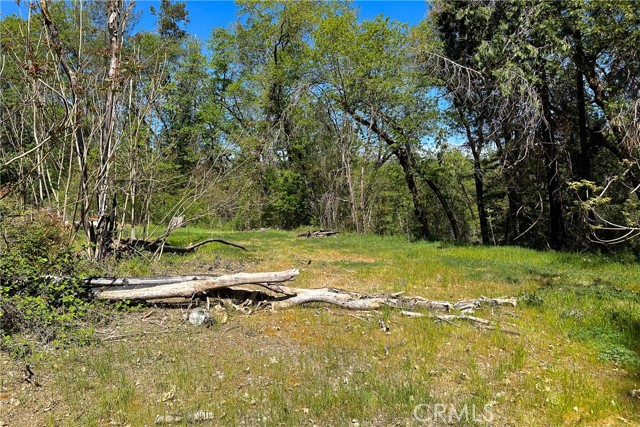 Detail Gallery Image 22 of 29 For 21138 Big Oak Ln, Lakehead,  CA 96051 - – Beds | – Baths