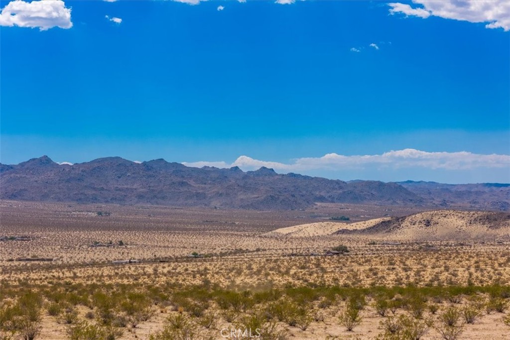 MLS #JT25263725 image #15