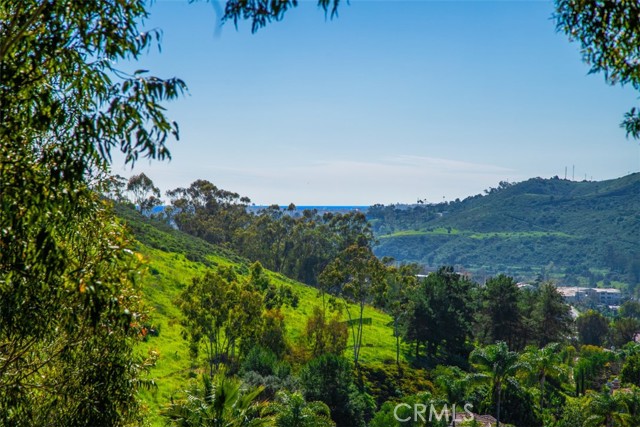 Detail Gallery Image 67 of 73 For 26841 Windsor Drive, San Juan Capistrano,  CA 92675 - 5 Beds | 4/1 Baths