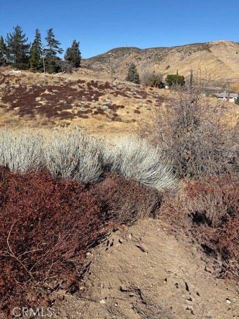 MLS #SR24250438 image #2