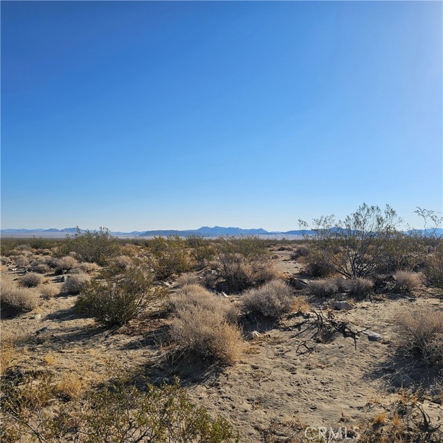 Detail Gallery Image 2 of 6 For 1234 Walker Rd, Johnson Valley,  CA 92285 - – Beds | – Baths