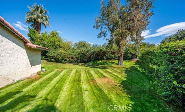 951 N Camino Condor, Palm Springs CA: https://media.crmls.org/medias/69f29a71-b98c-48c1-9365-e134e59704a4.jpg