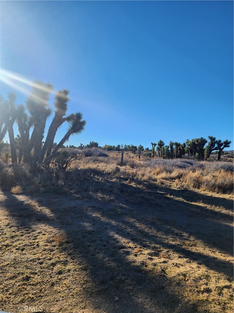 MLS #CV25255822 image #35