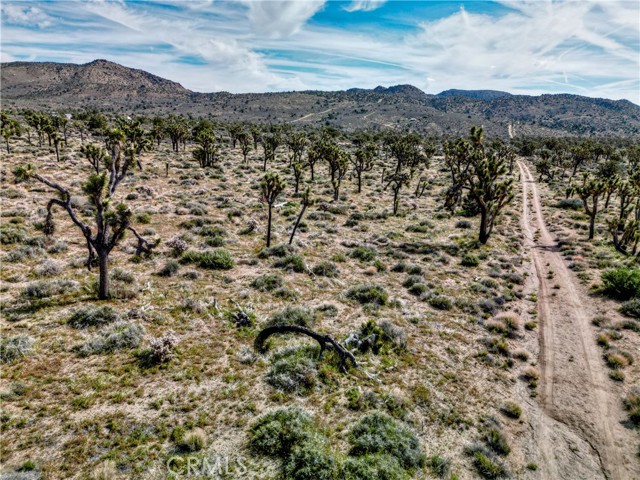 Front Image Thumbnail for CRJT26086481