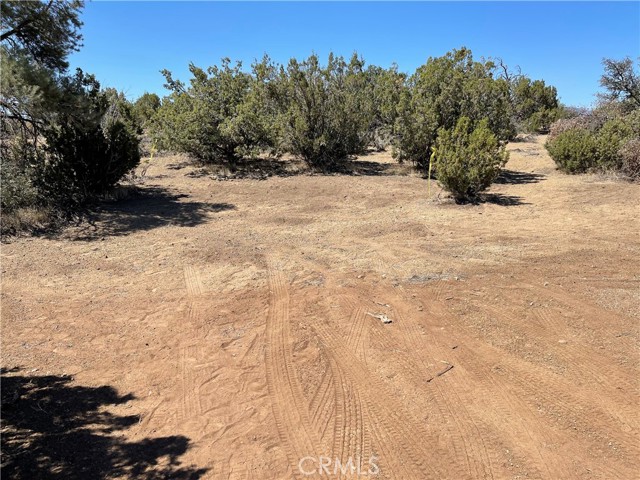 0 0, Tehachapi CA: https://media.crmls.org/medias/69fff46b-44cc-4745-9f71-6264b21bc37c.jpg
