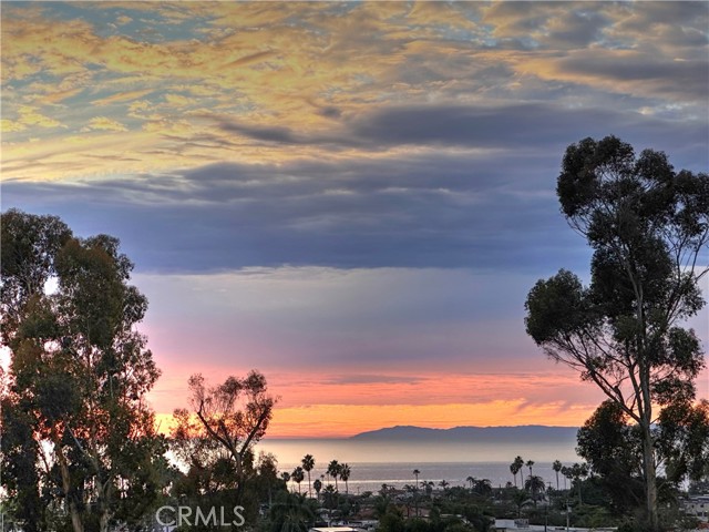 Front Image Thumbnail for CROC25265726