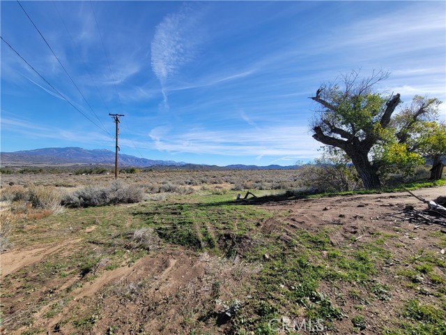Detail Gallery Image 32 of 46 For 44451 Jay Dr, Anza,  CA 92539 - 3 Beds | 2 Baths
