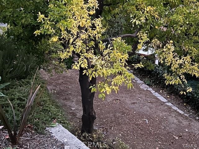 https://media.crmls.org/medias/6a0dfb67-604b-40bd-8e07-1927dd445d17.jpg?preset=X-Large