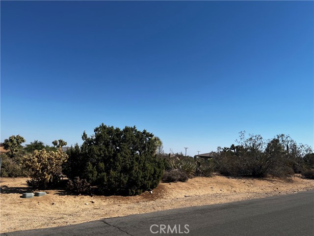 58210 Lisbon, Yucca Valley, CA, 92284 58210 Lisbon, Yucca Valley, CA, 92284