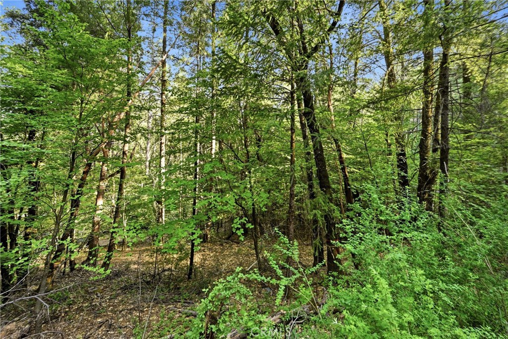 https://media.crmls.org/medias/6a124154-5c2e-4b76-9fac-d0849855edb1.jpg?preset=X-Large