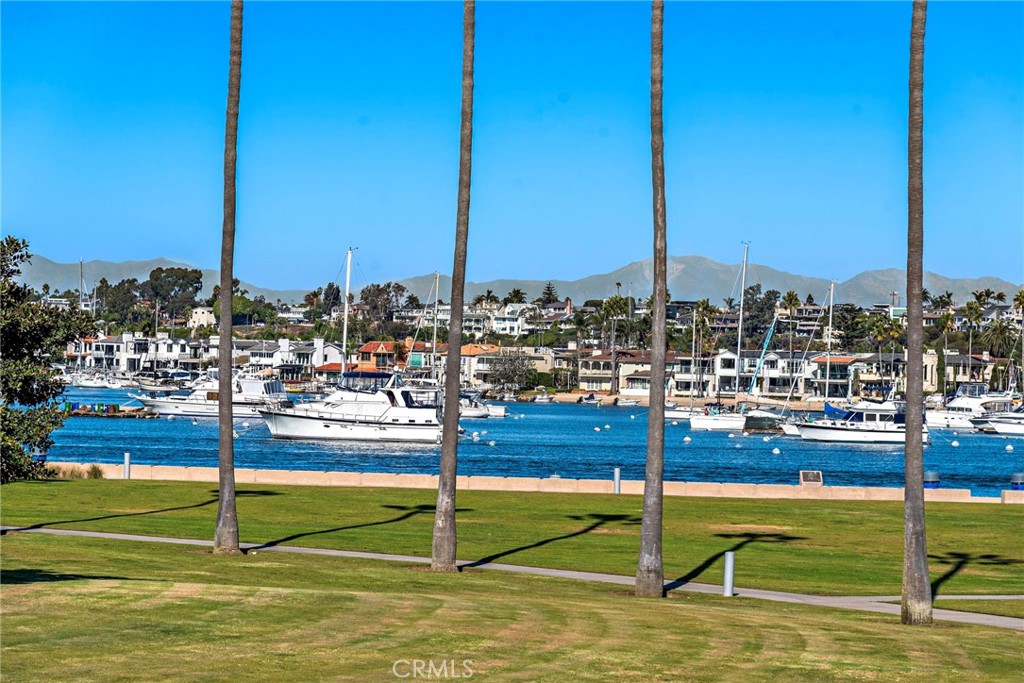 6a156aec 1ec2 442f 9e6b C329dd76a2a4