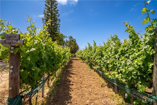 34150 Pauba Road, Temecula CA: https://media.crmls.org/medias/6a1d85a0-3add-4982-89cc-727354607e5e.jpg